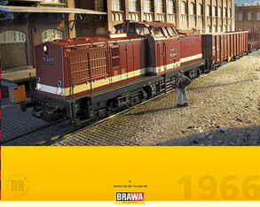 Diesel Locomotive BR 110 DRG