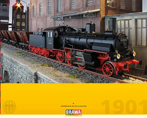 Steam Locomotive BR 54.8-10 DRG