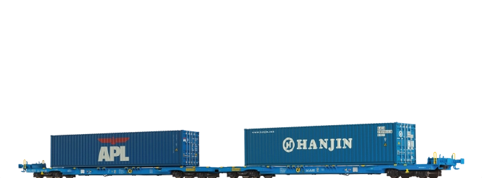 48110 - Containerwagen Sffggmrrss§36§ "APL / HANJIN" AAE